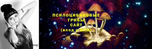 не бодяженный Абаза