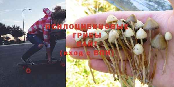 прущая мука Абинск
