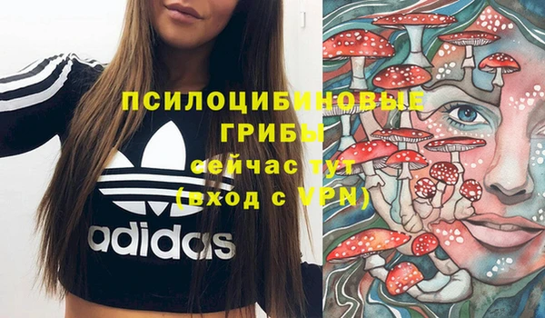 мяу мяу мука Алексеевка