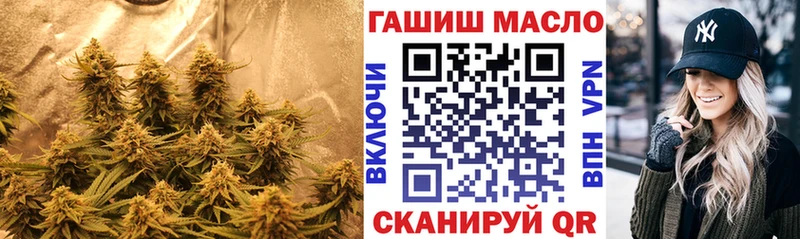 магазин продажи наркотиков  Людиново  Дистиллят ТГК гашишное масло 