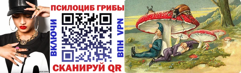 Псилоцибиновые грибы ЛСД где купить наркотик Людиново